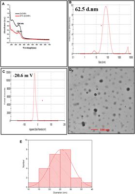 Methotrexate-conjugated zinc oxide nanoparticles exert a substantially improved cytotoxic effect on lung cancer cells by inducing apoptosis